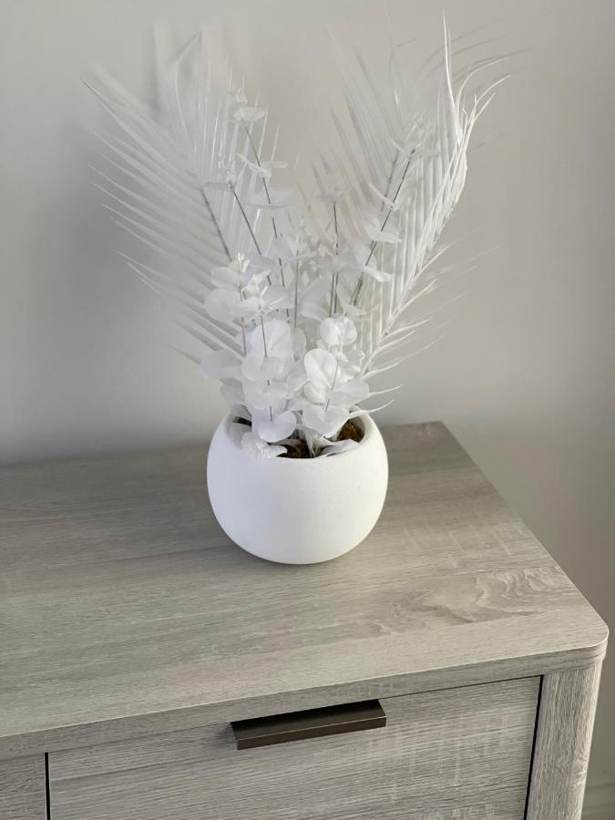 Edith Haven Tynemouth Fabulous Coastal Holiday Home With Free Onstreet Parking Eksteriør bilde